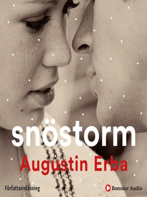 cover image of Snöstorm